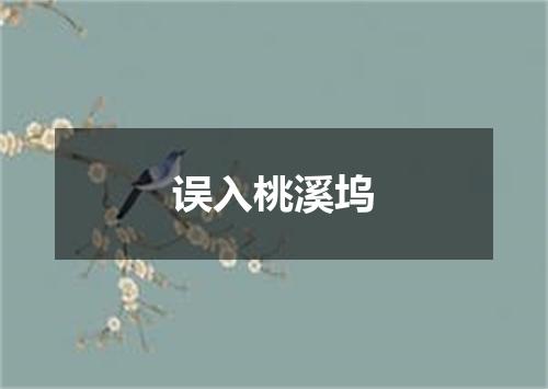 误入桃溪坞