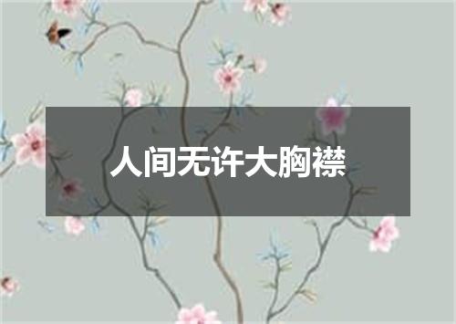 人间无许大胸襟