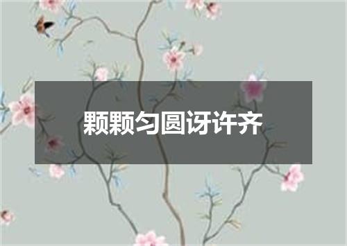 颗颗匀圆讶许齐