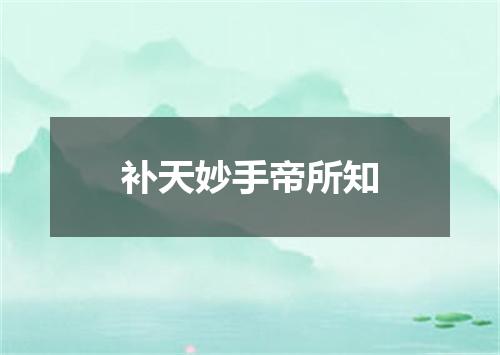 补天妙手帝所知