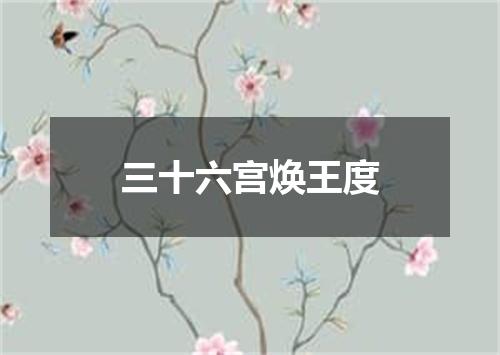 三十六宫焕王度
