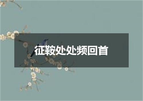 征鞍处处频回首