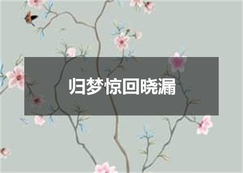 归梦惊回晓漏