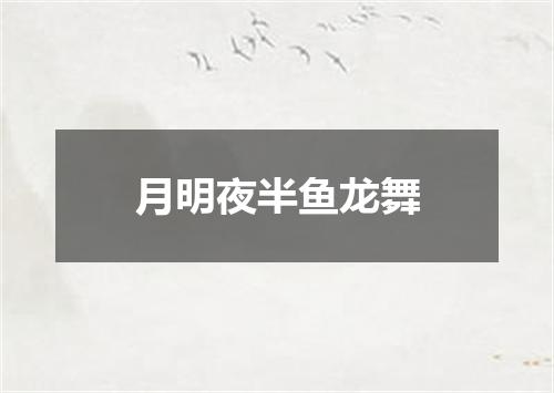 月明夜半鱼龙舞