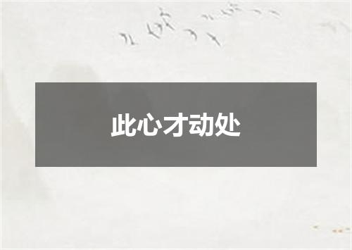 此心才动处