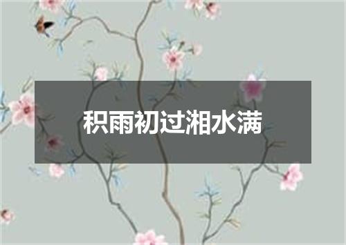 积雨初过湘水满