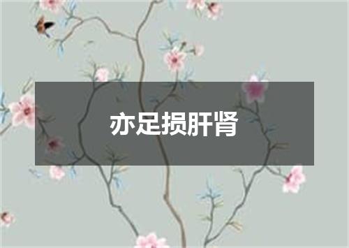 亦足损肝肾