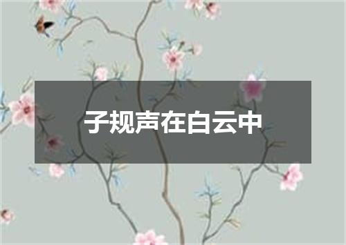 子规声在白云中