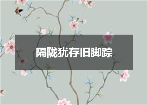 隔陇犹存旧脚踪