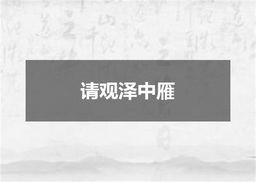 请观泽中雁