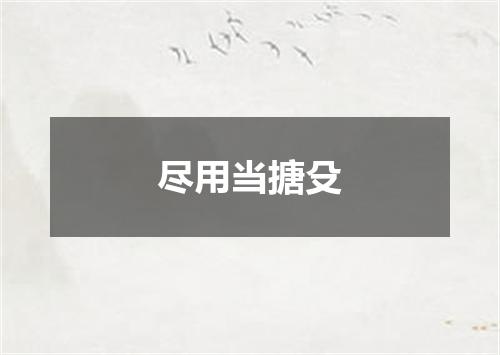 尽用当搪殳