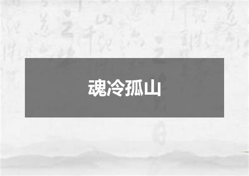 魂冷孤山