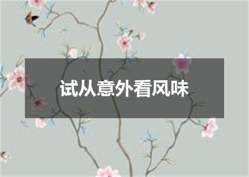 试从意外看风味