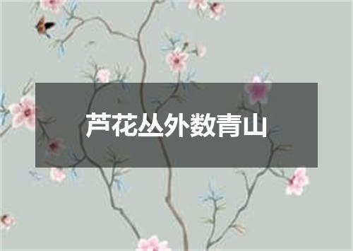 芦花丛外数青山