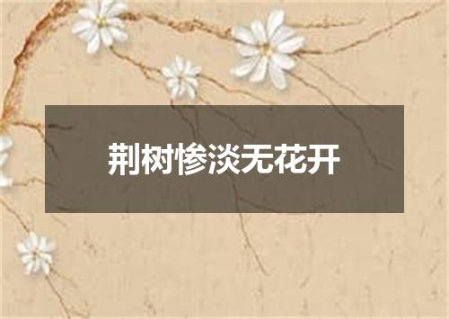 荆树惨淡无花开