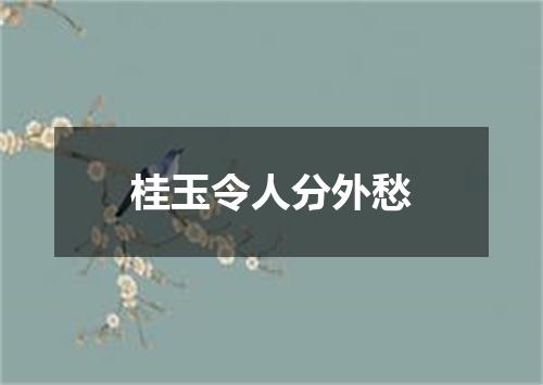 桂玉令人分外愁