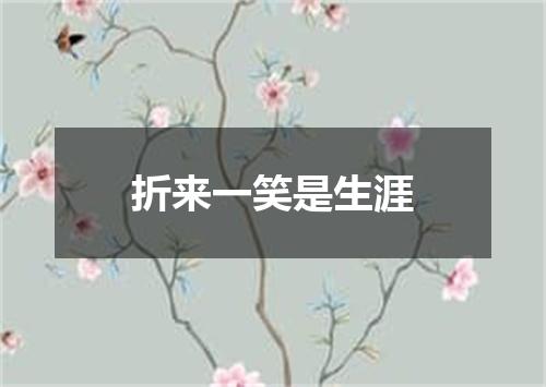 折来一笑是生涯