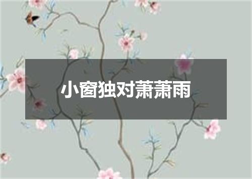 小窗独对萧萧雨
