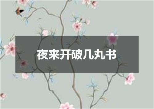 夜来开破几丸书