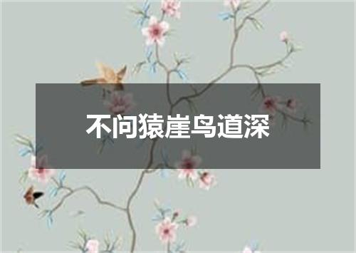 不问猿崖鸟道深