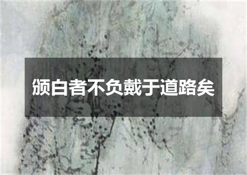 颁白者不负戴于道路矣