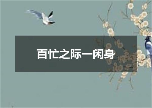 百忙之际一闲身