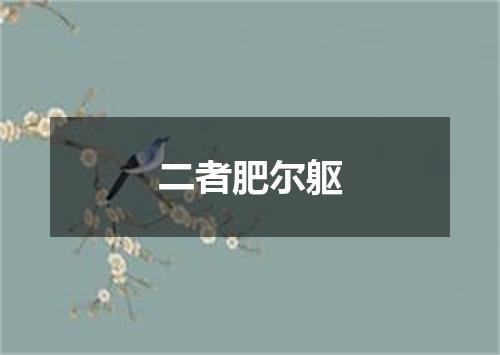 二者肥尔躯