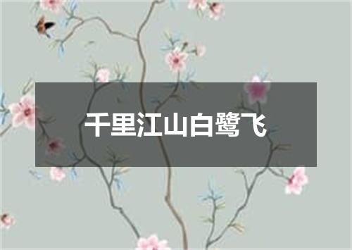 千里江山白鹭飞