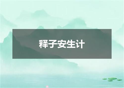 释子安生计