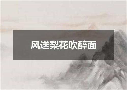 风送梨花吹醉面