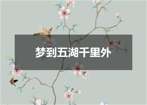 梦到五湖千里外