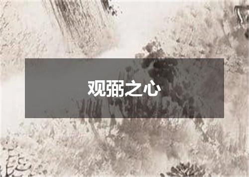 观弼之心