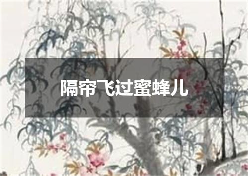 隔帘飞过蜜蜂儿