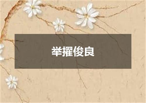 举擢俊良
