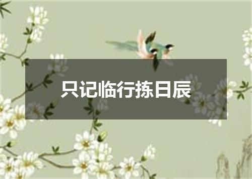只记临行拣日辰