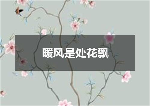 暖风是处花飘