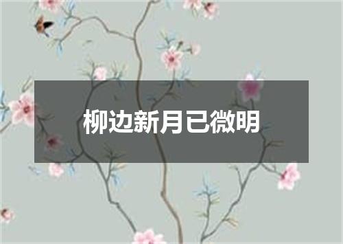 柳边新月已微明