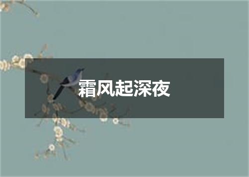 霜风起深夜