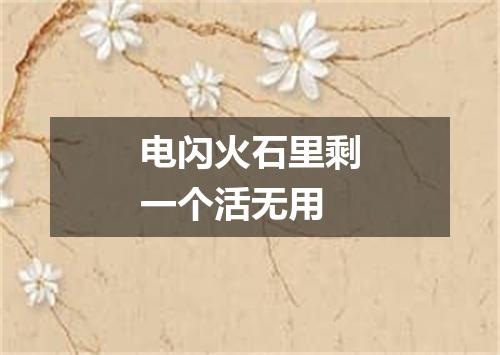 电闪火石里剩一个活无用