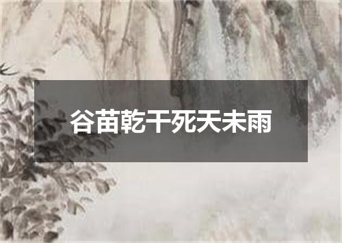 谷苗乾干死天未雨