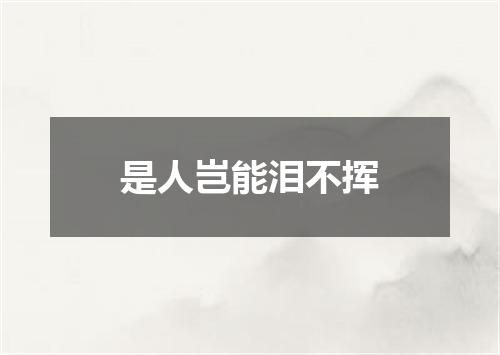 是人岂能泪不挥
