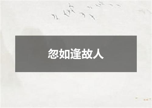忽如逢故人