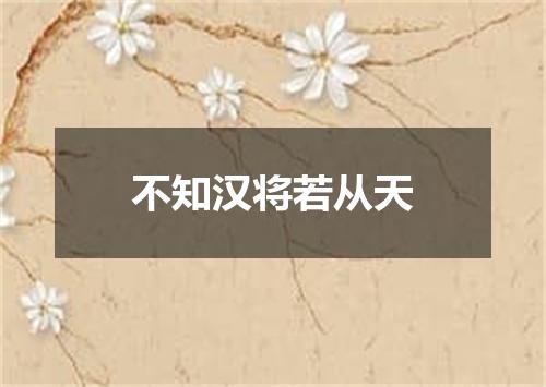 不知汉将若从天