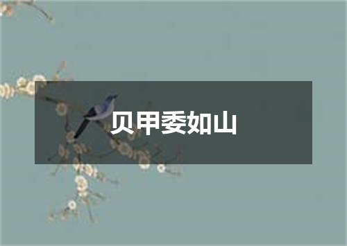 贝甲委如山