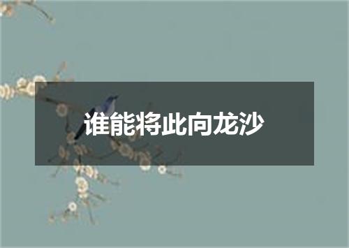 谁能将此向龙沙