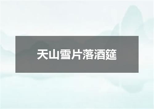 天山雪片落酒筵