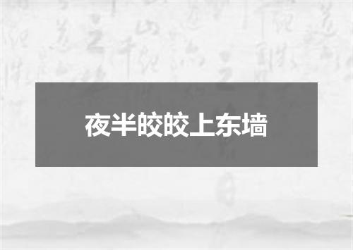 夜半皎皎上东墙