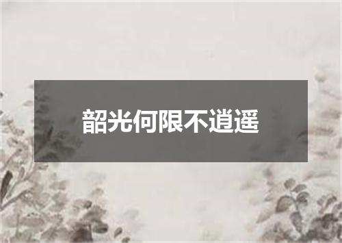 韶光何限不逍遥