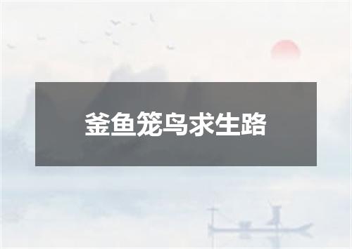 釜鱼笼鸟求生路