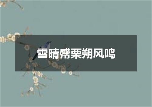 雪晴觱栗朔风鸣